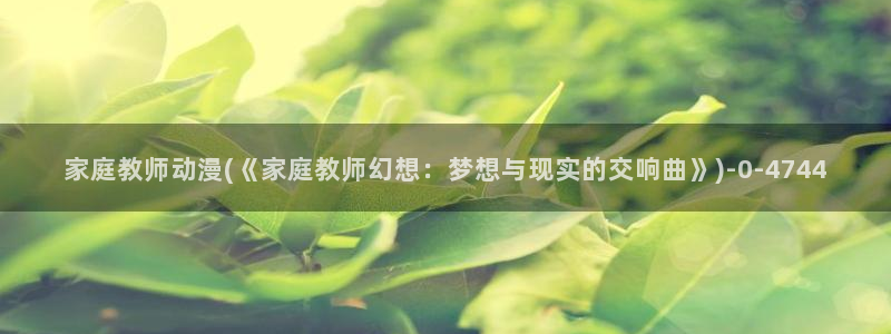 布丁动漫