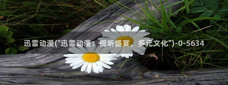 动漫免费看