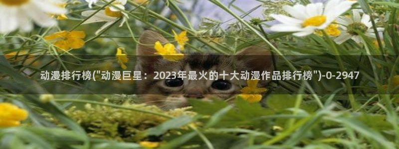 动漫培训班